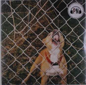LP Knocked Loose: Pop Culture LTD | CLR