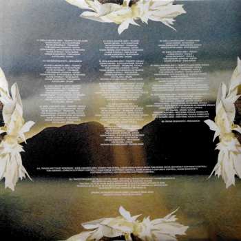 LP Kokoroko: Could We Be More