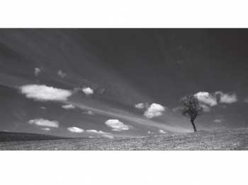 CD Konstantia Gourzi: Anájikon