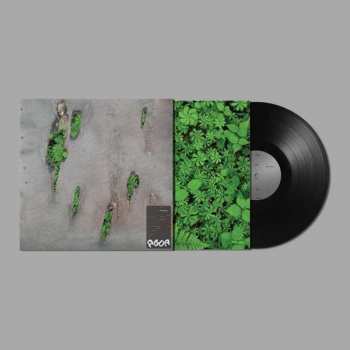 Album Koreless: Agor