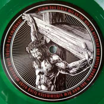 LP Krawallbrüder: -Schmerzfrei- LTD | CLR