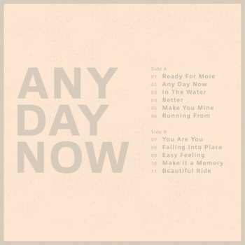 LP Krezip: Any Day Now CLR