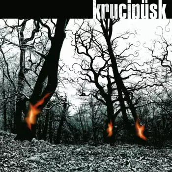Krucipüsk: Druide!
