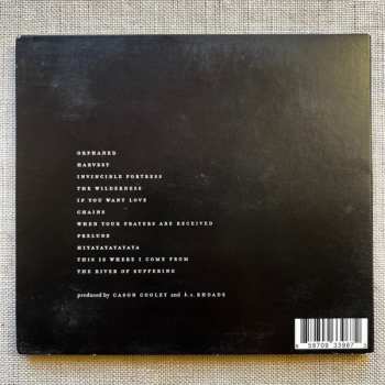 CD K.S. Rhoads: The Wilderness