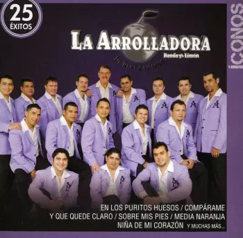  Íconos 25 Éxitos