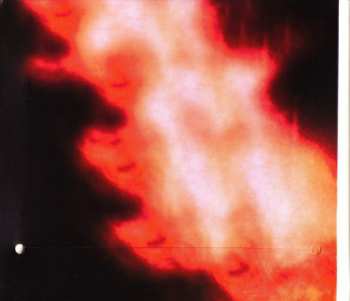 CD Laboratorium: The Blue Light Pilot - Live