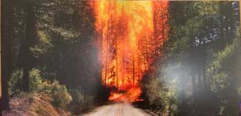 LP Ladytron: Ladytron