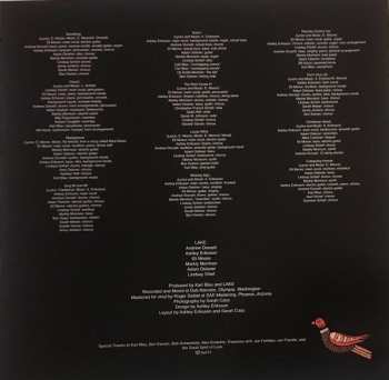 LP Lake: Let's Build A Roof