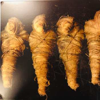 2LP Lamb Of God: VII: Sturm Und Drang