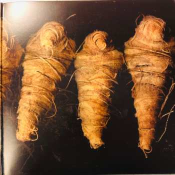 2LP Lamb Of God: VII: Sturm Und Drang