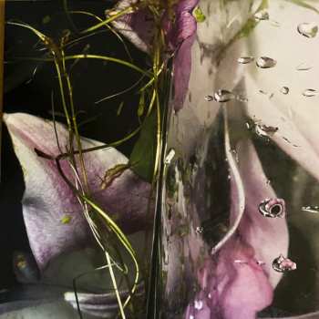 LP Låpsley: These Elements