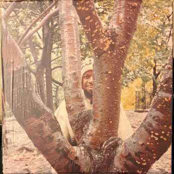 4LP Laraaji: Segue To Infinity LTD | CLR