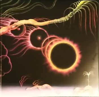 LP Laura Agnusdei: Flowers Are Blooming In Antarctica