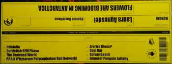 LP Laura Agnusdei: Flowers Are Blooming In Antarctica