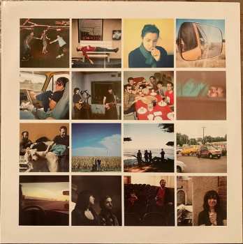 2LP Laura Stevenson & The Cans: Sit Resist DLX