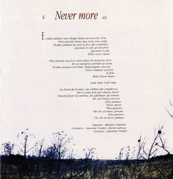 CD Laurent Voulzy: Caché Derrière