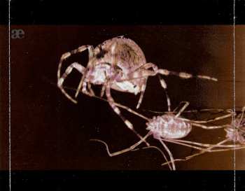 3CD/Doos Leæther Strip: After The Devastation LTD