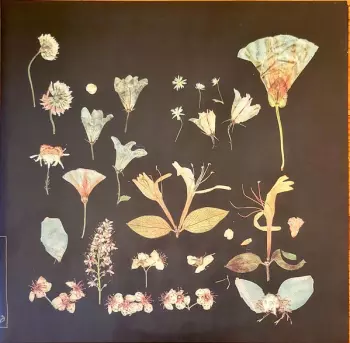 Leaving Laurel: When The Quiet Comes