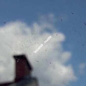 LP Robert Lepenik: Ouate