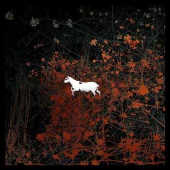 2LP/2CD/DVD/Doos Les Discrets: Prédateurs LTD | CLR