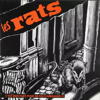 Les Rats: C'est Bien Parti Pour Ne Pas S'arranger !!!