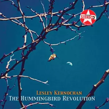 Lesley Kernochan: The Hummingbird Revolution
