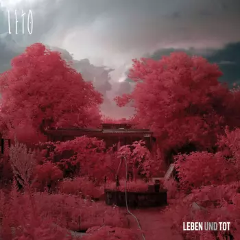 Leto: Leben Und Tot