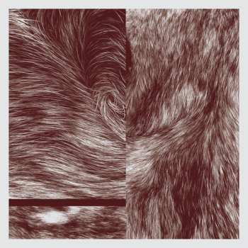 Album Lettera 22: Legacy Map