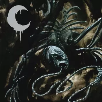 A Silhouette in Splinters