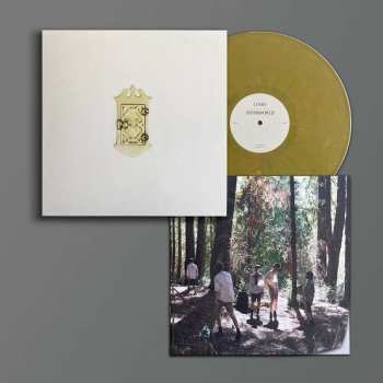 LP Liars: Sisterworld LTD | CLR
