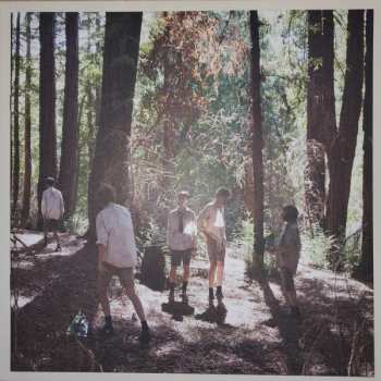 LP Liars: Sisterworld LTD | CLR