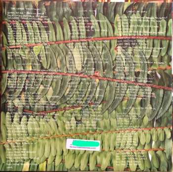 2LP Liars: TFCF (420 Estuary Angler Edition) DLX | LTD | CLR