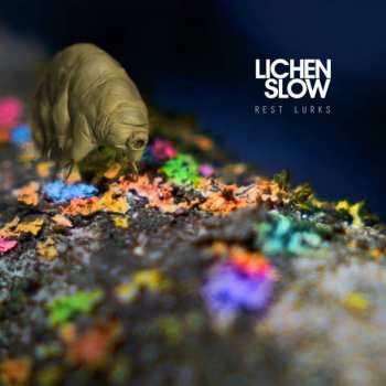 CD Lichen Slow: Rest Lurks