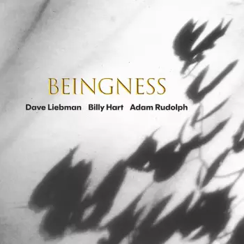 Liebman,dave / Hart,billy / Rudolph,adam: Beingness