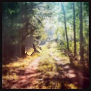 Album Like Elephants: Oneironaut
