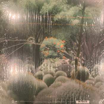 LP Lily Kershaw: Arcadia