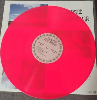 LP Lily Seabird: Trash Island CLR | LTD