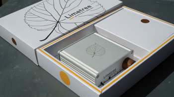  LINDEMANN Limetree HEADPHONE
