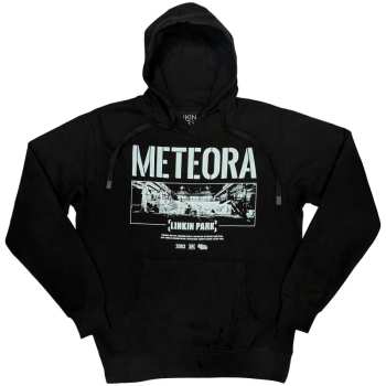 Merch Linkin Park: Linkin Park Unisex Pullover Hoodie: Meteora Wall Art (small) S