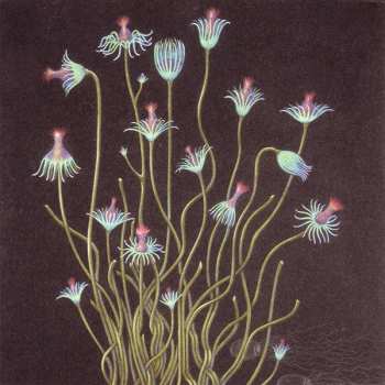 CD Lisa Germano: In The Maybe World