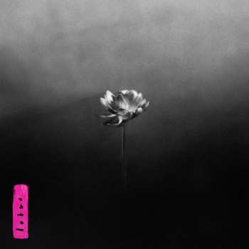 Album Little Simz: Lotus