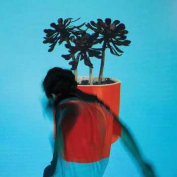 CD Local Natives: Sunlit Youth