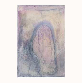 CD L'ocelle Mare: Sans Chemin