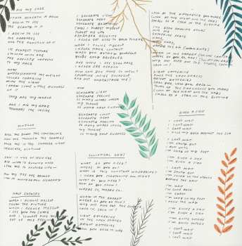 LP Loma: Don't Shy Away CLR