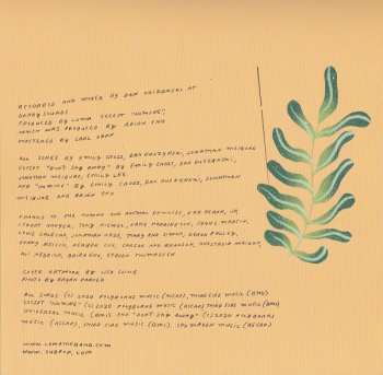 LP Loma: Don't Shy Away CLR