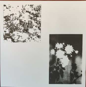 LP Loma Prieta: Last CLR