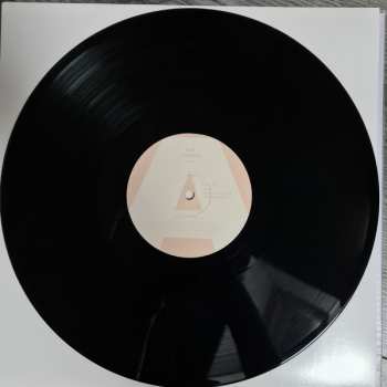2LP Lomepal: FLIP
