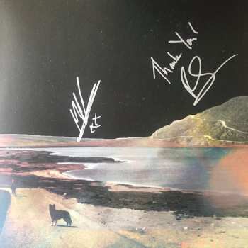 LP Lonely The Brave: Things Will Matter LTD