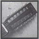 LP Loose Fur: Born Again In The USA