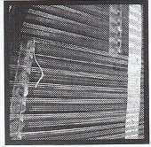 LP Loose Fur: Born Again In The USA